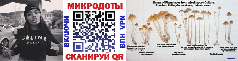 Галлюциногенные грибы мухоморы  где продают наркотики  Североуральск 